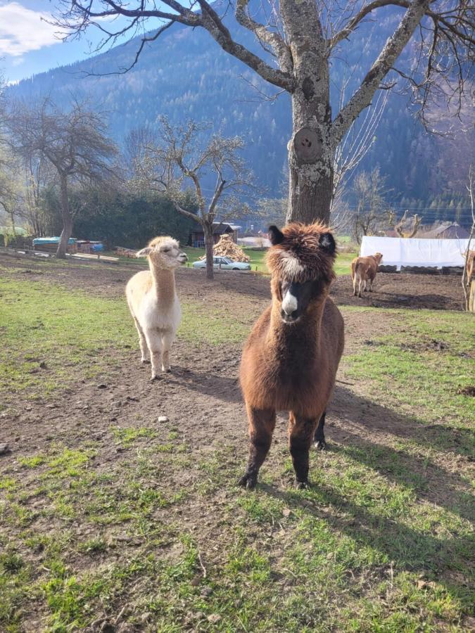 Ferienwohnung Biohof Untermar Obervellach Bagian luar foto