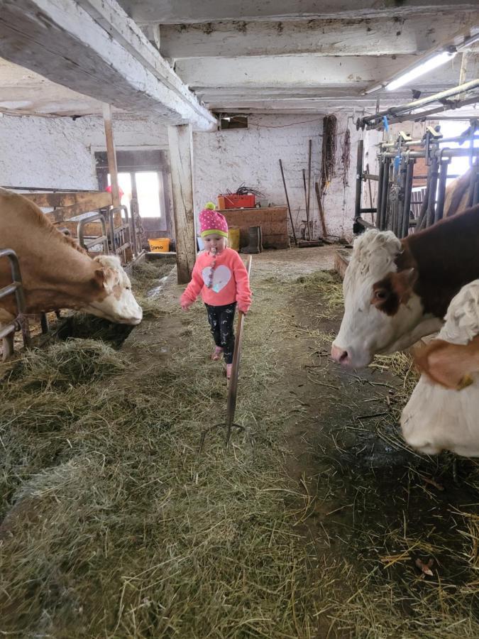 Ferienwohnung Biohof Untermar Obervellach Bagian luar foto