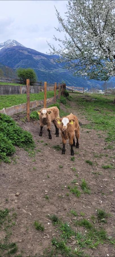 Ferienwohnung Biohof Untermar Obervellach Bagian luar foto