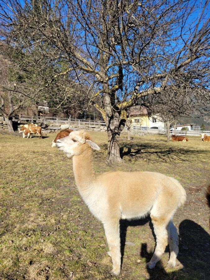 Ferienwohnung Biohof Untermar Obervellach Bagian luar foto